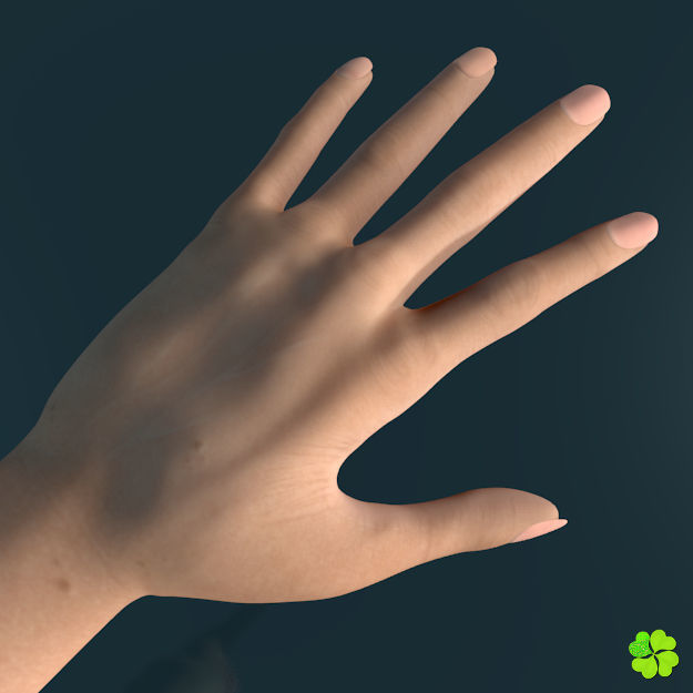 Ada basic female model low poly Low-poly 3D model_18