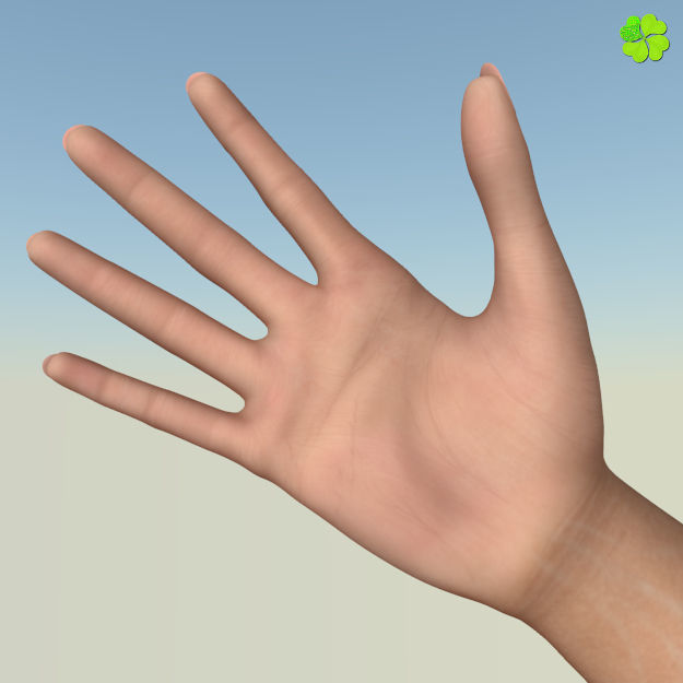 Ada basic female model low poly Low-poly 3D model_19