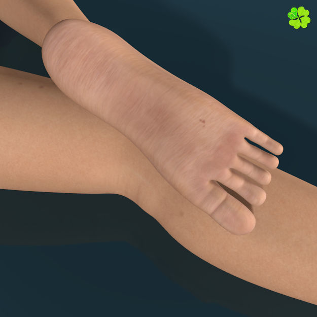 Ada basic female model low poly Low-poly 3D model_11