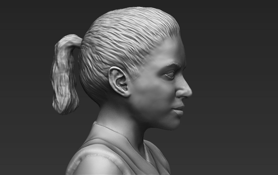 Shakira 3D printing ready stl obj formats 3D print model_14