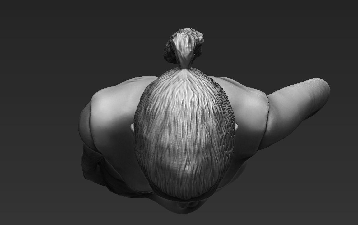 Shakira 3D printing ready stl obj formats 3D print model_19