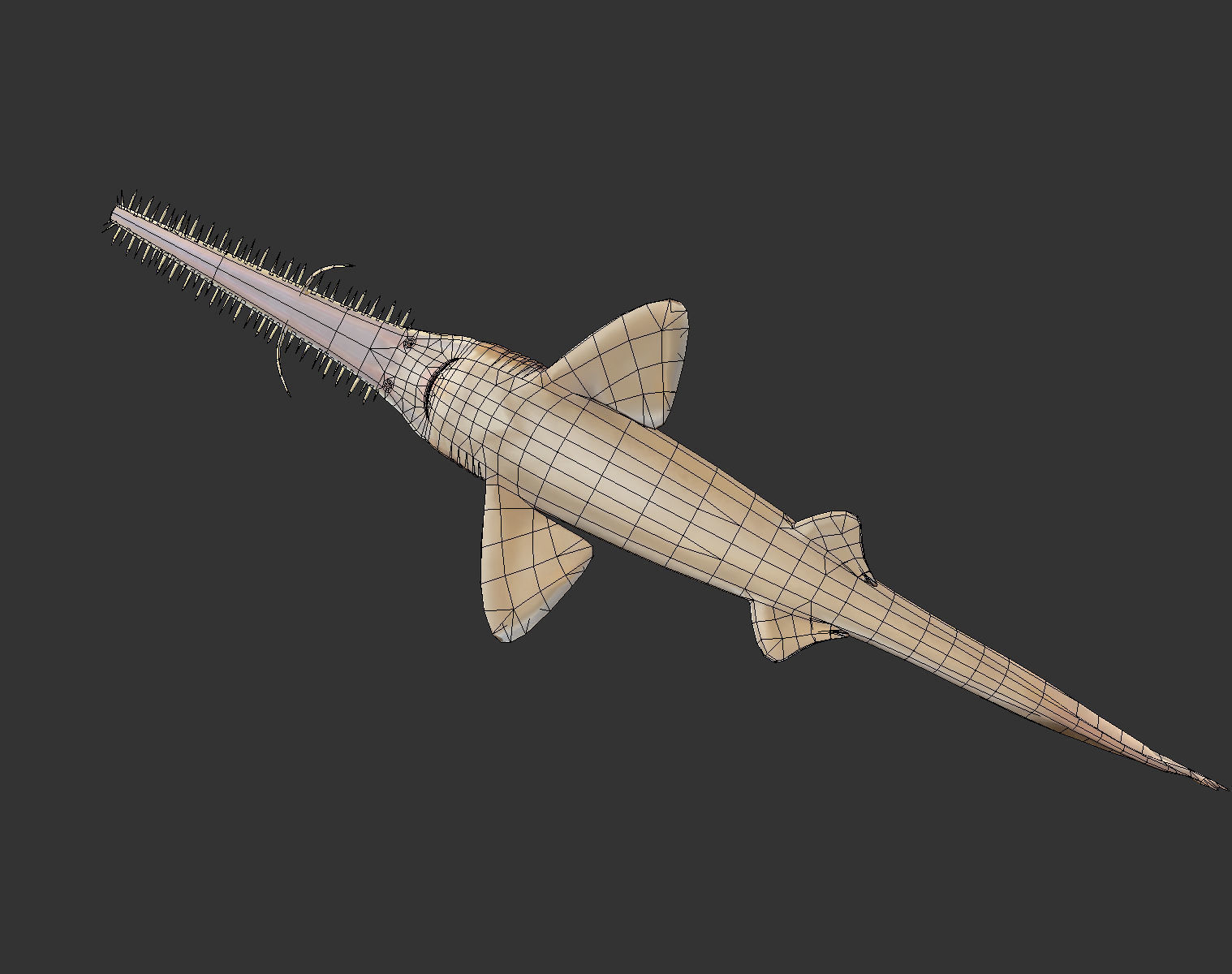 long shark mouth Low-poly 3D model_10