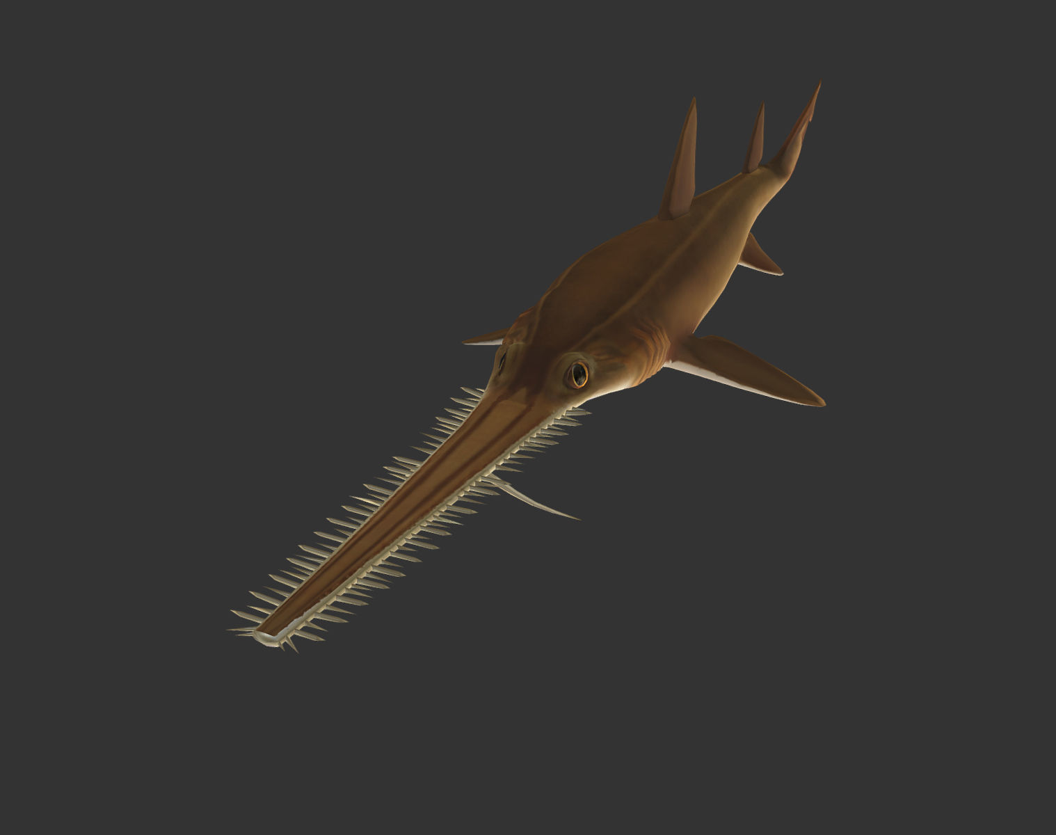 long shark mouth Low-poly 3D model_6