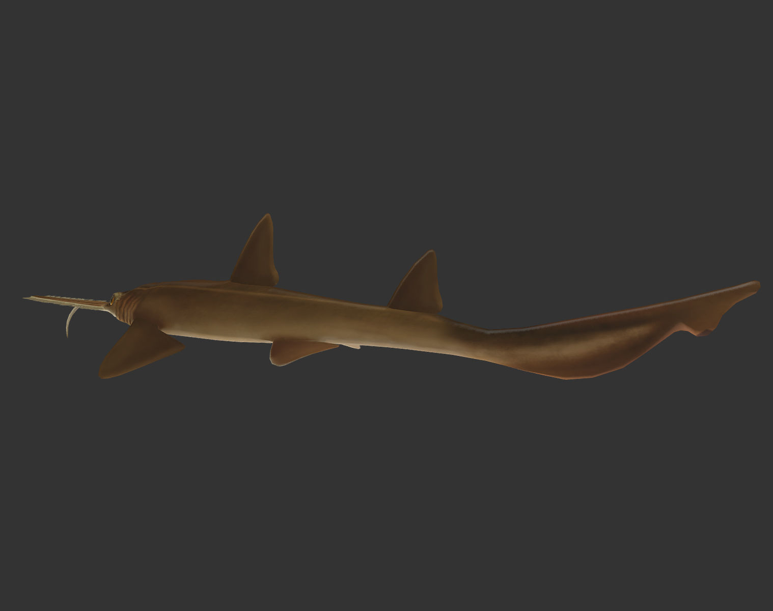 long shark mouth Low-poly 3D model_3