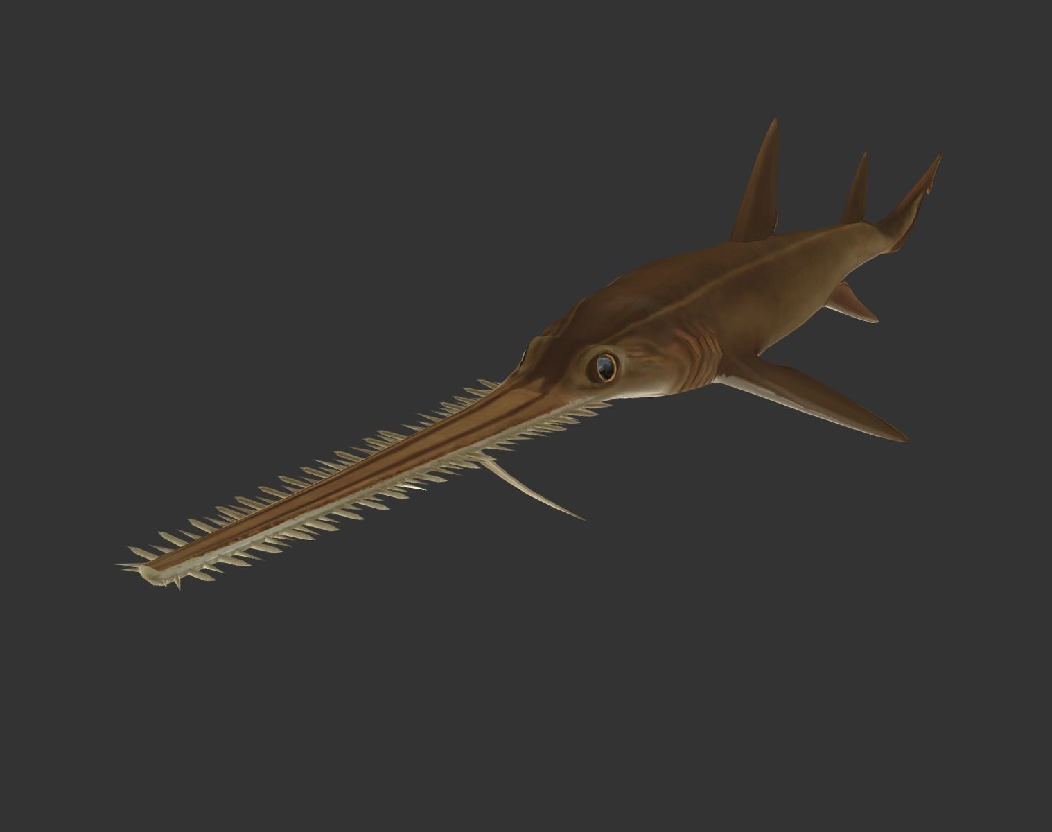 long shark mouth Low-poly 3D model_1