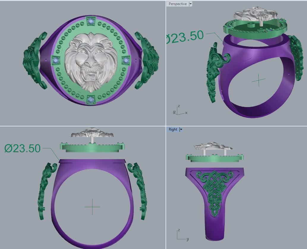 Lion face print 3D print model_1