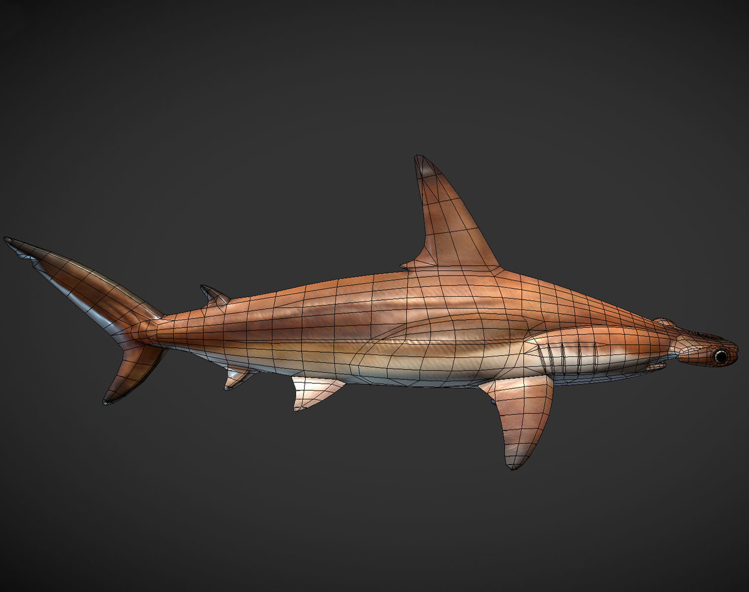 hammerhead sharks Low-poly 3D model_7