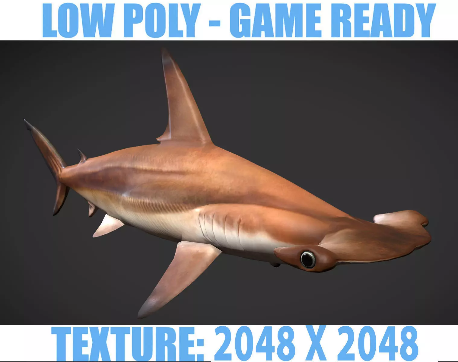 hammerhead sharks Low-poly 3D model_0