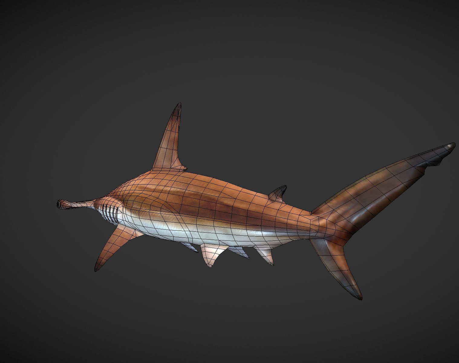 hammerhead sharks Low-poly 3D model_9