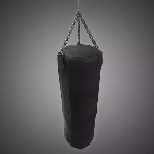 Heavy Punching Bag