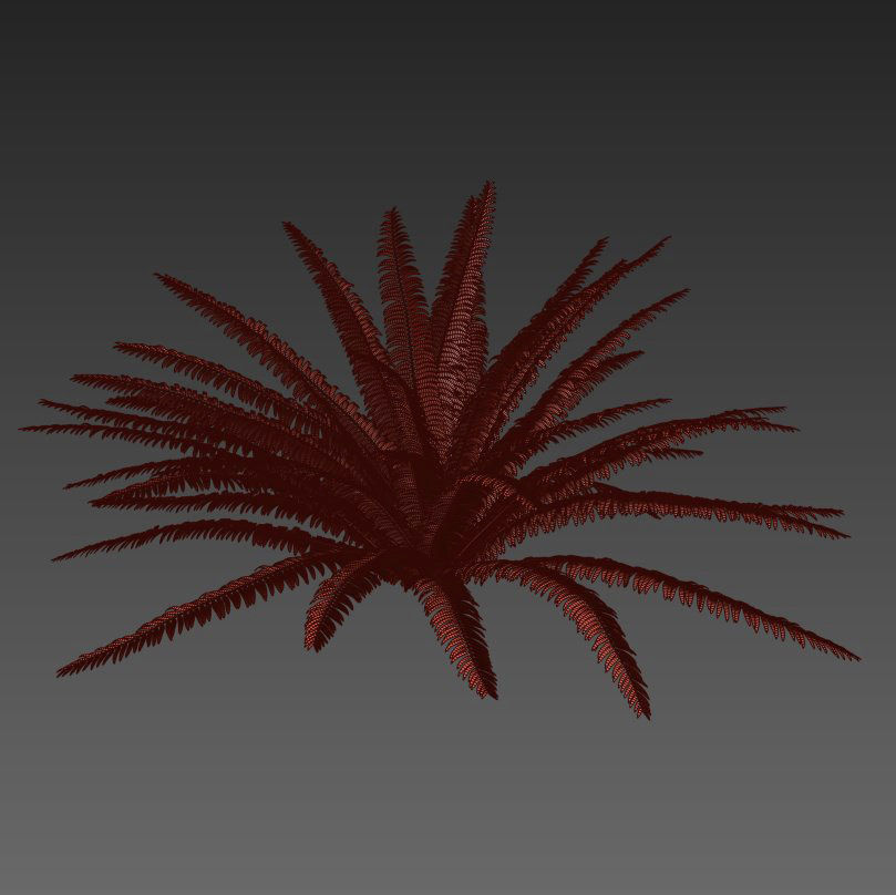 Fern 01 3D model_3