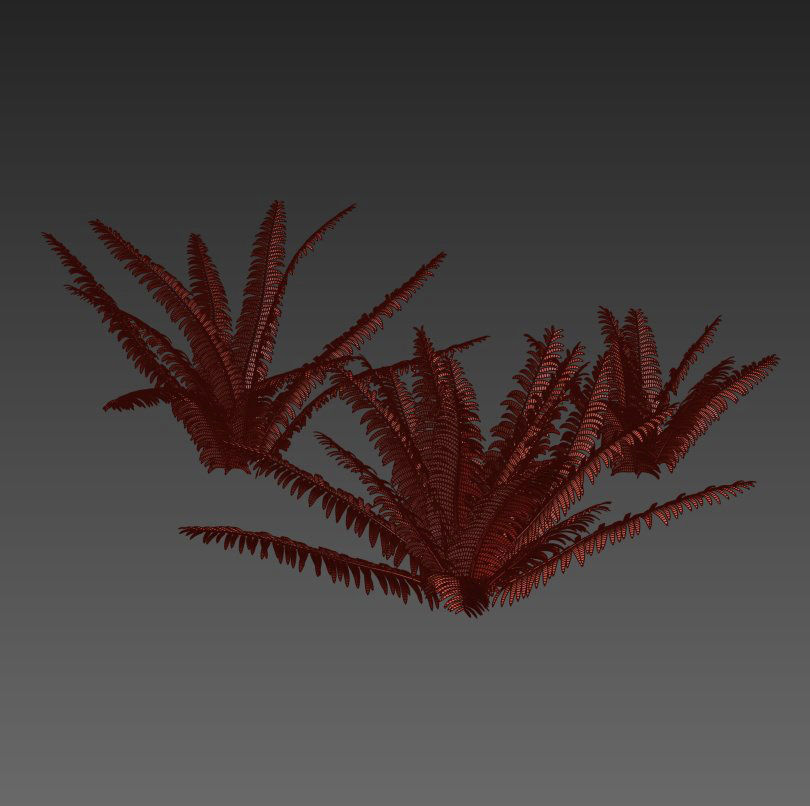 Fern 01 3D model_4