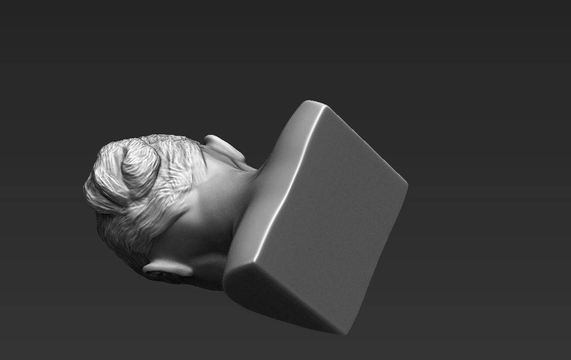 Angelina Jolie bust ready for full color 3D printing 3D print model_45
