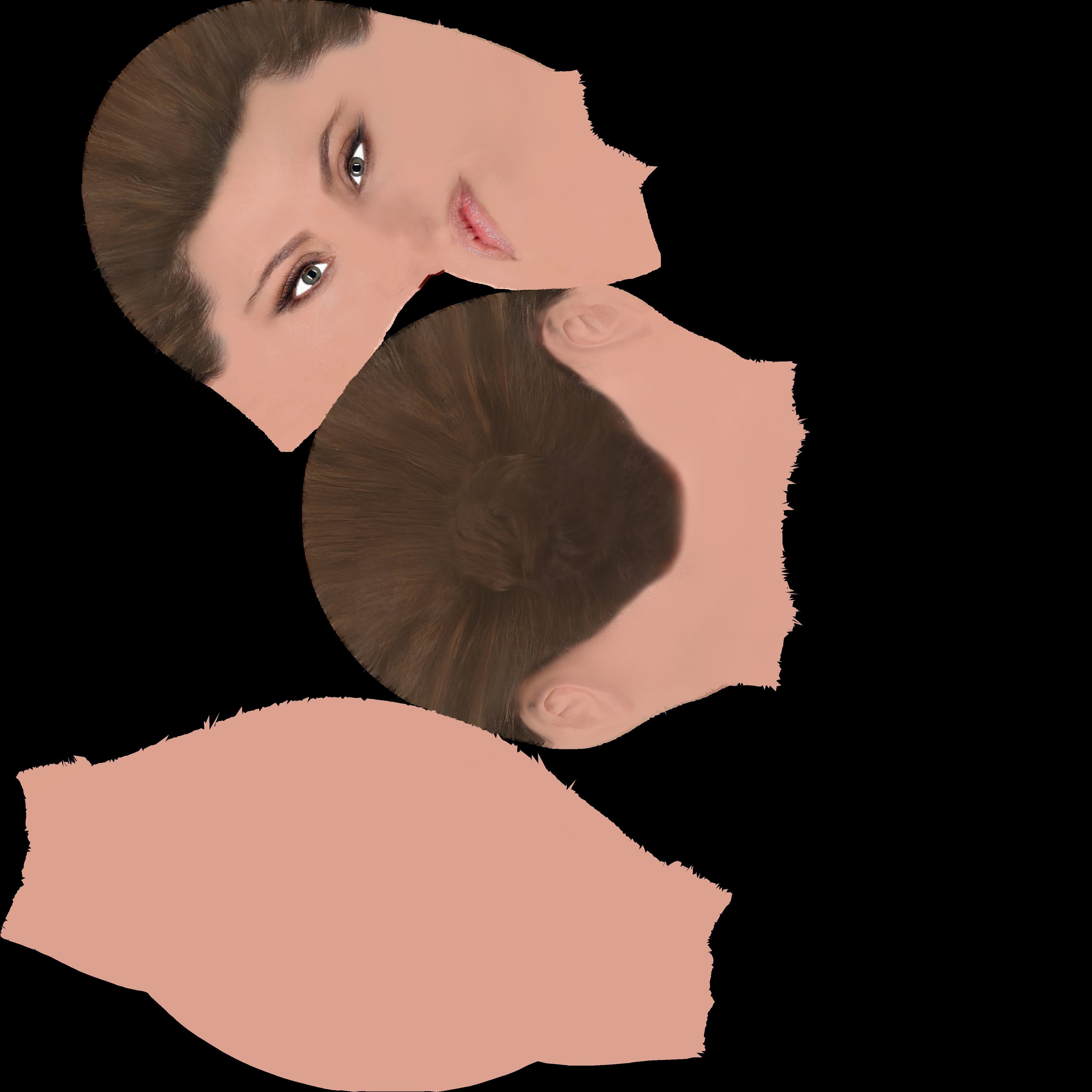 Angelina Jolie bust ready for full color 3D printing 3D print model_49
