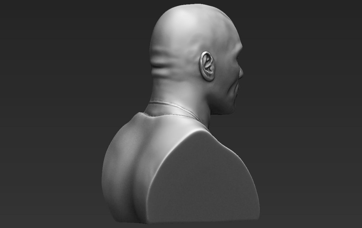 Dwayne Rock Johnson bust ready for full color 3D printing  3D print model_31