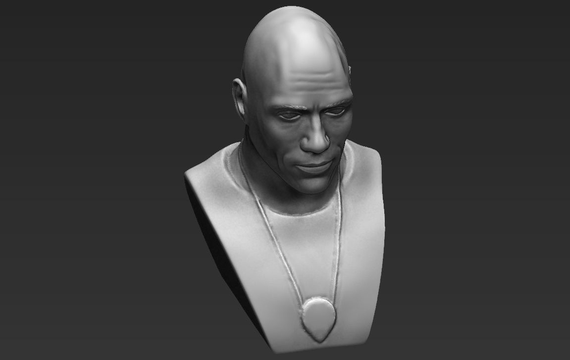 Dwayne Rock Johnson bust ready for full color 3D printing  3D print model_36