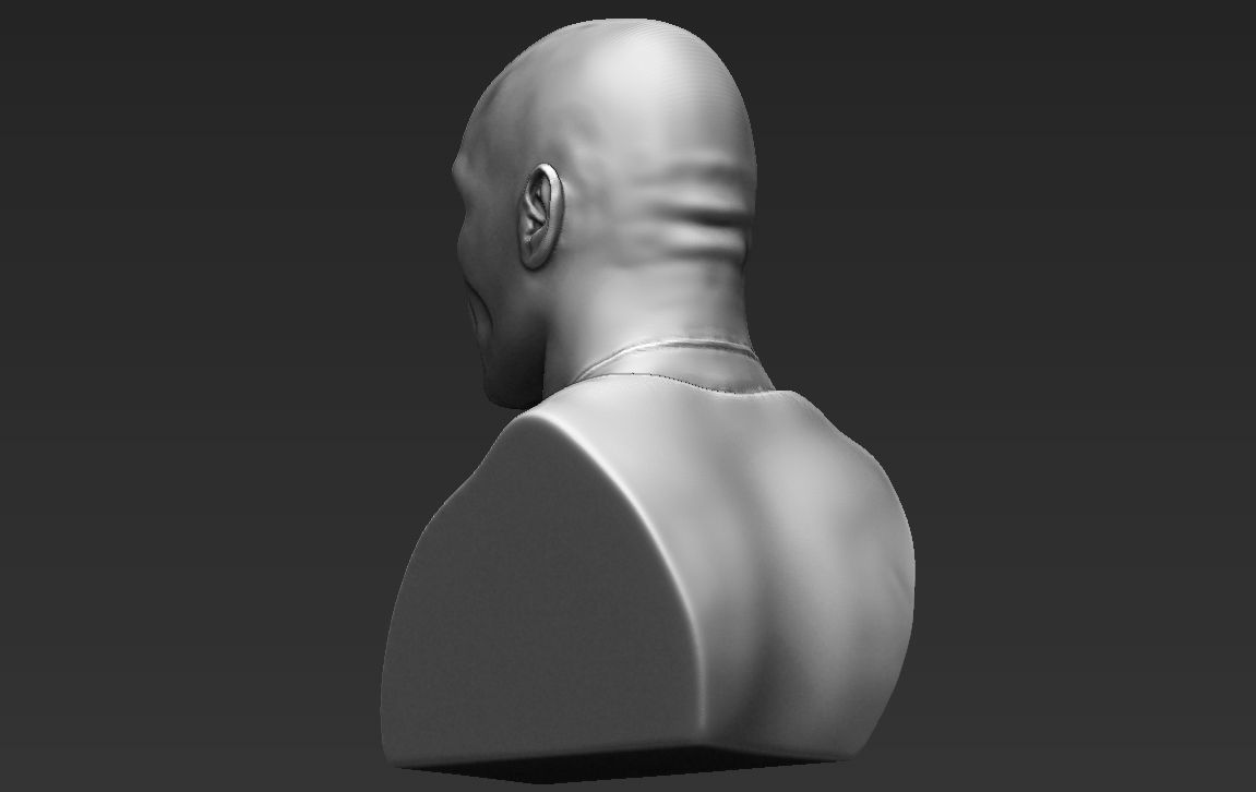 Dwayne Rock Johnson bust ready for full color 3D printing  3D print model_29