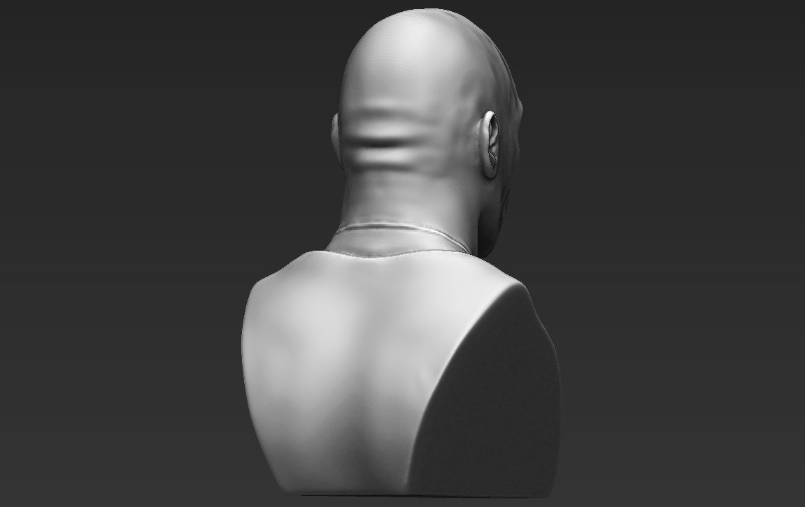 Dwayne Rock Johnson bust ready for full color 3D printing  3D print model_30