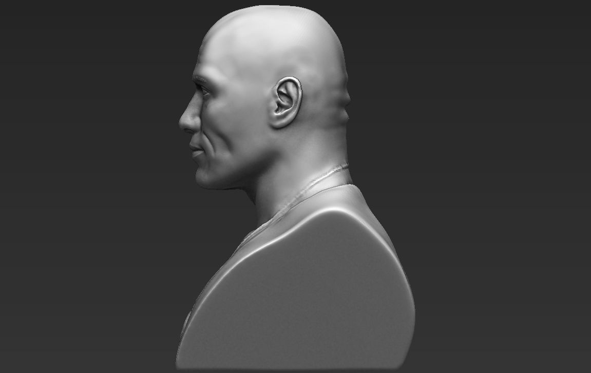Dwayne Rock Johnson bust ready for full color 3D printing  3D print model_27