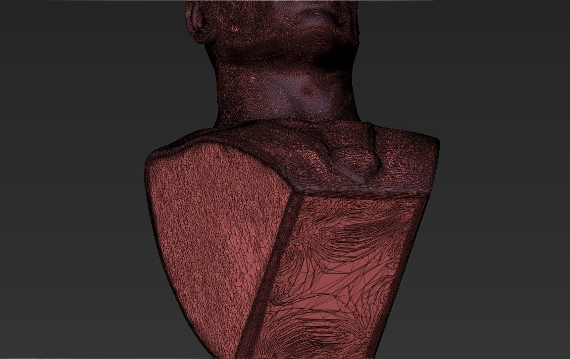 Dwayne Rock Johnson bust ready for full color 3D printing  3D print model_43