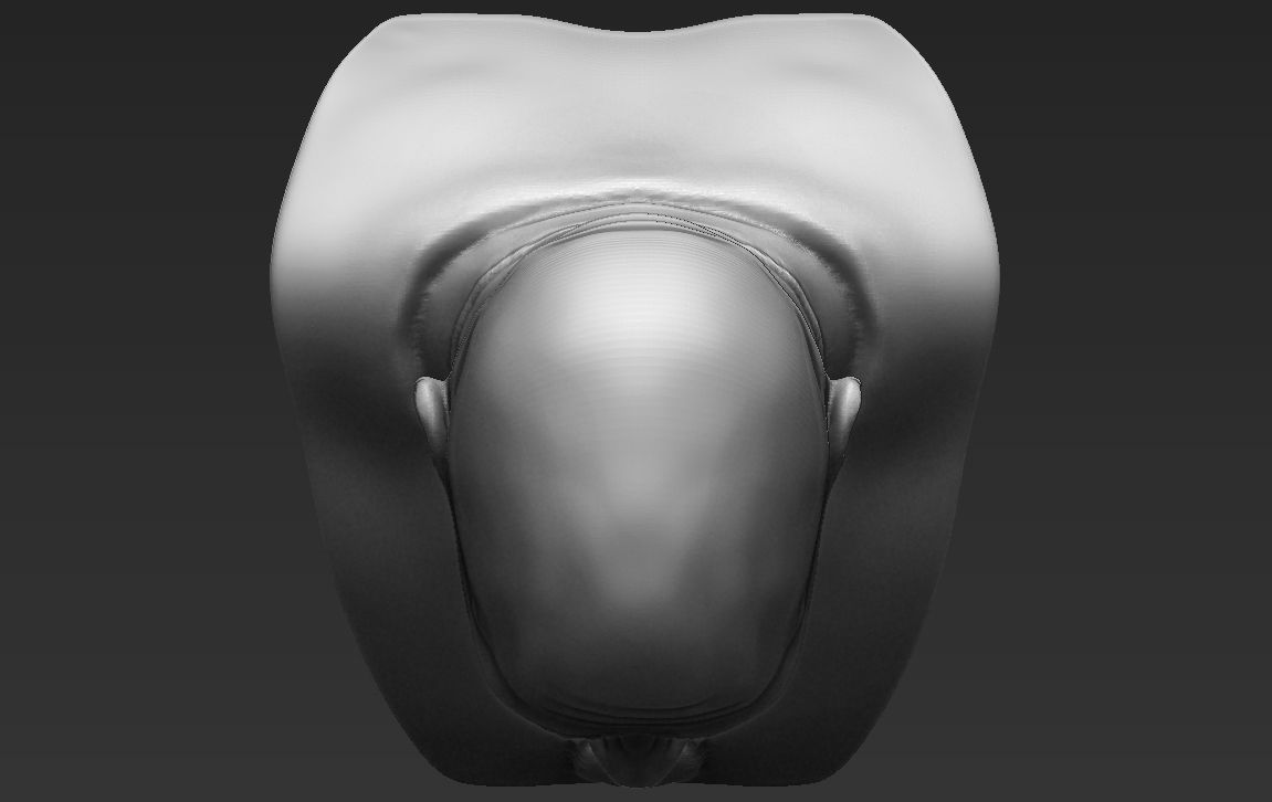 Dwayne Rock Johnson bust ready for full color 3D printing  3D print model_38