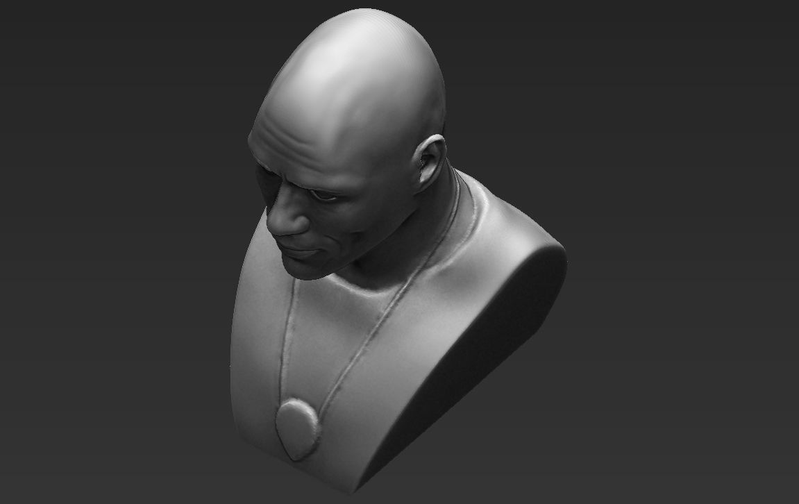 Dwayne Rock Johnson bust ready for full color 3D printing  3D print model_37