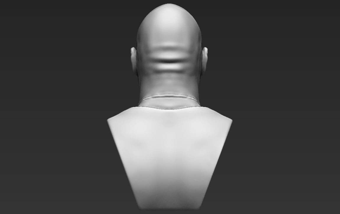 Dwayne Rock Johnson bust ready for full color 3D printing  3D print model_28