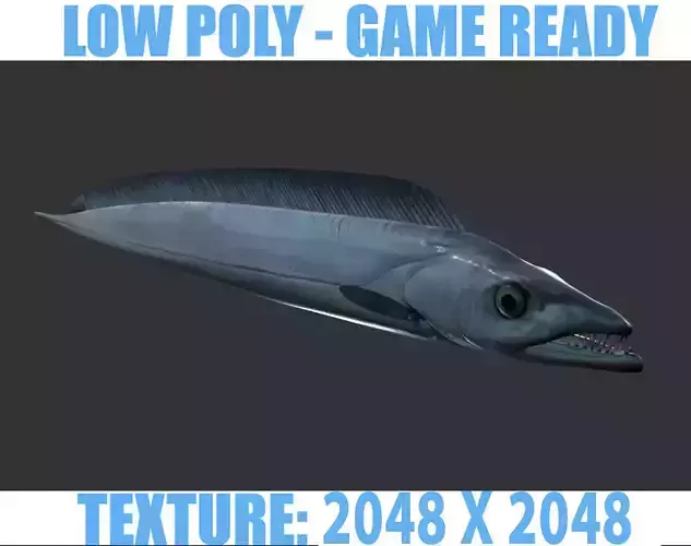 Sea Eel Low-poly 3D model