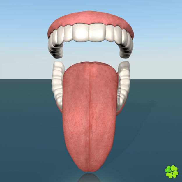 Ada sex female model low poly Low-poly 3D model_48