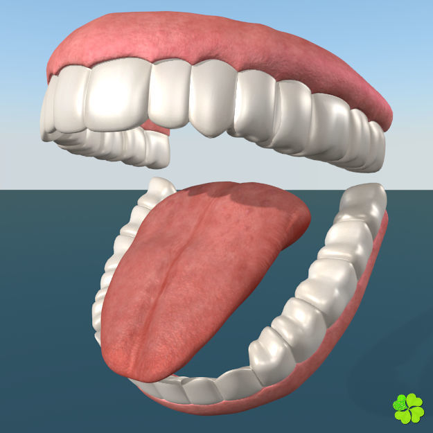 Ada sex female model low poly Low-poly 3D model_49