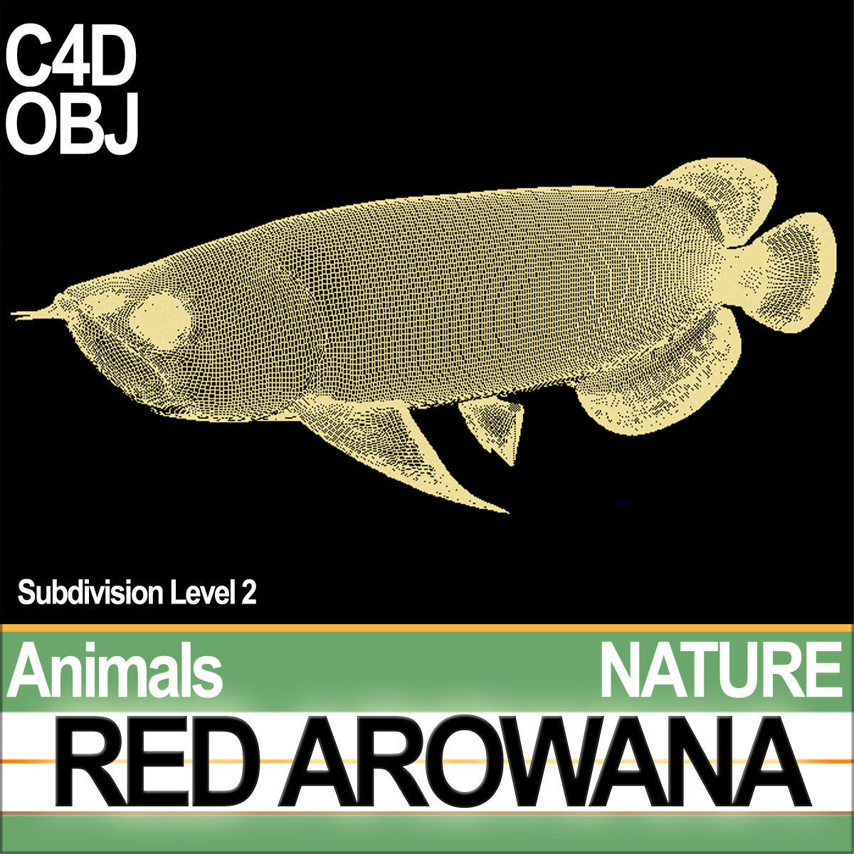 Red Arowana 3D model_7