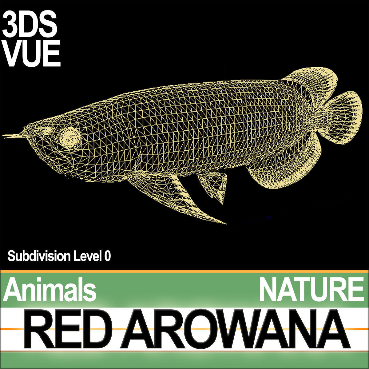 Red Arowana 3D model_6