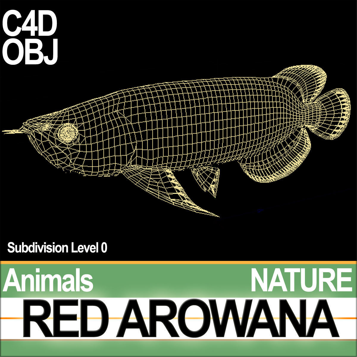 Red Arowana 3D model_5