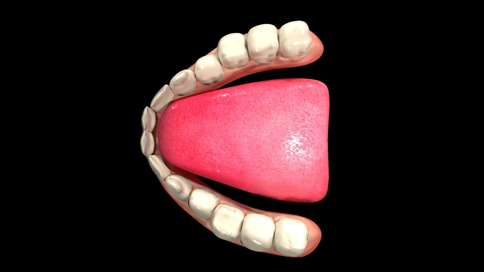 Man Character Low-poly 3D model_25