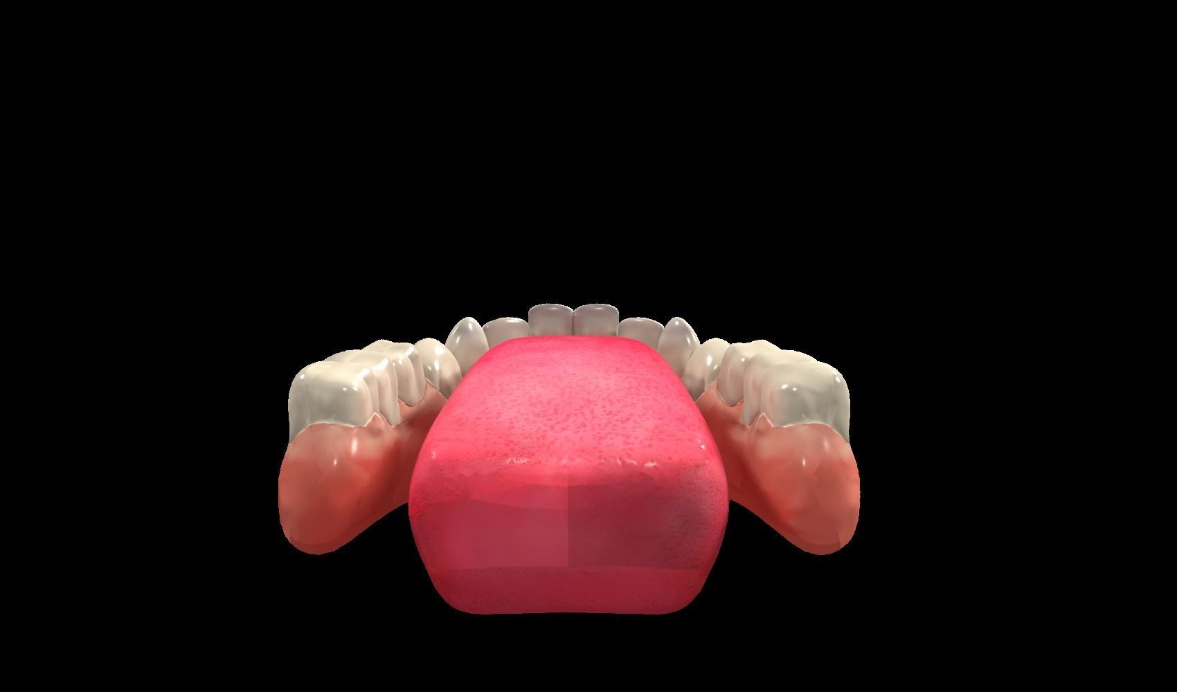 Man Character Low-poly 3D model_16