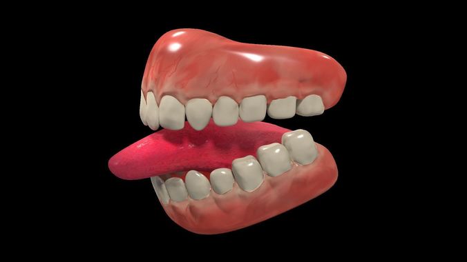 Teeth Denture Low-poly 3D model