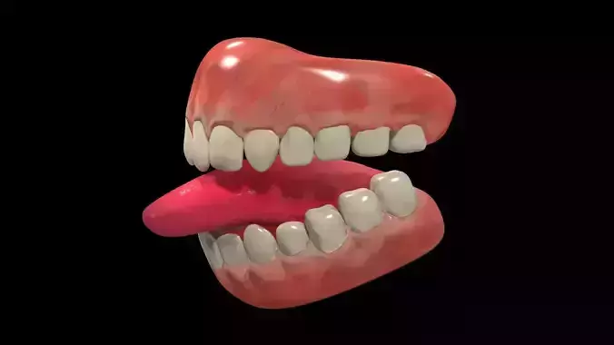 Teeth Denture Low-poly 3D model