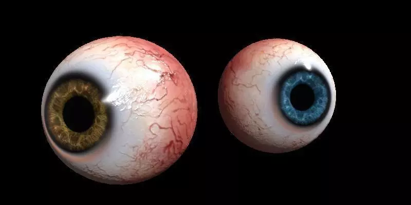 Eye Human Low-poly 3D model_0