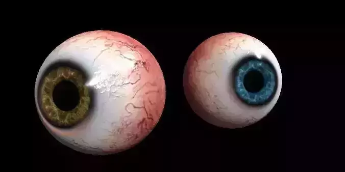 Eye Human Low-poly 3D model