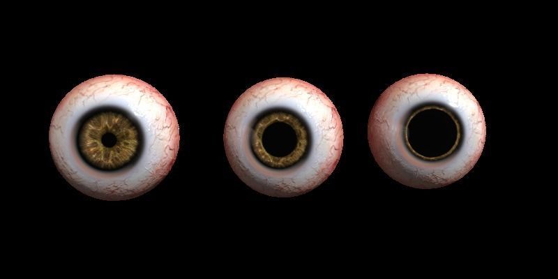 Eye Human Low-poly 3D model_3
