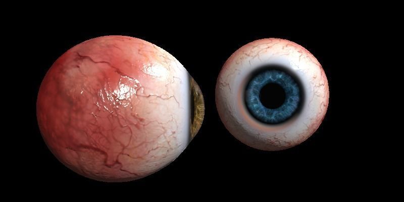 Eye Human Low-poly 3D model_1