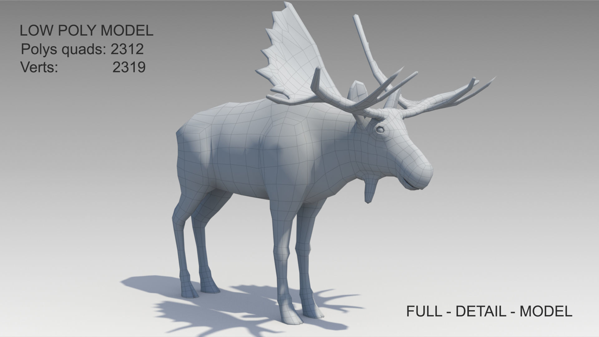 Moose Low-poly 3D model_8