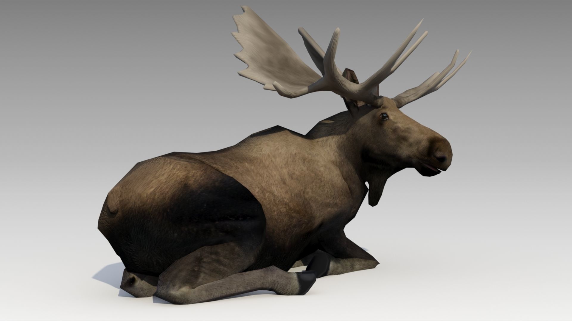 Moose Low-poly 3D model_2