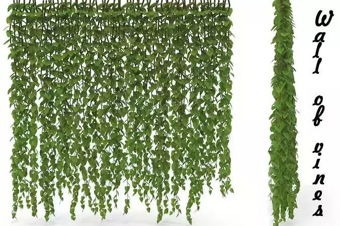 Wall of vines 3D model