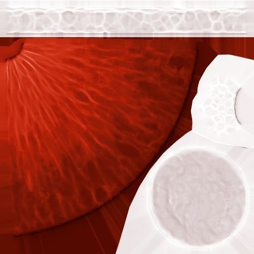 Free Hand-Painted Christmas Hat Free low-poly 3D model_17