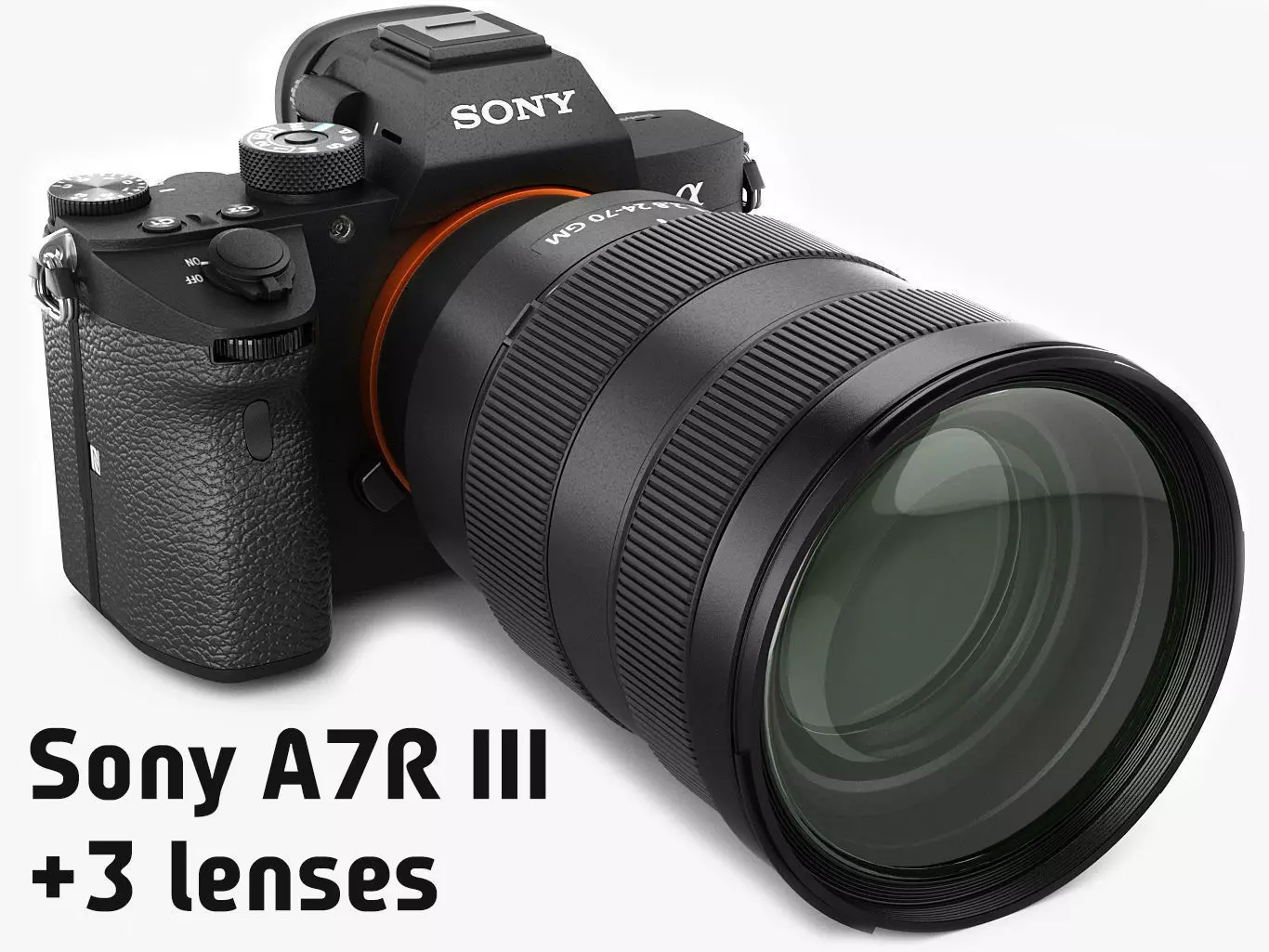Sony Alpha 7R III with three lenses 3D model_0