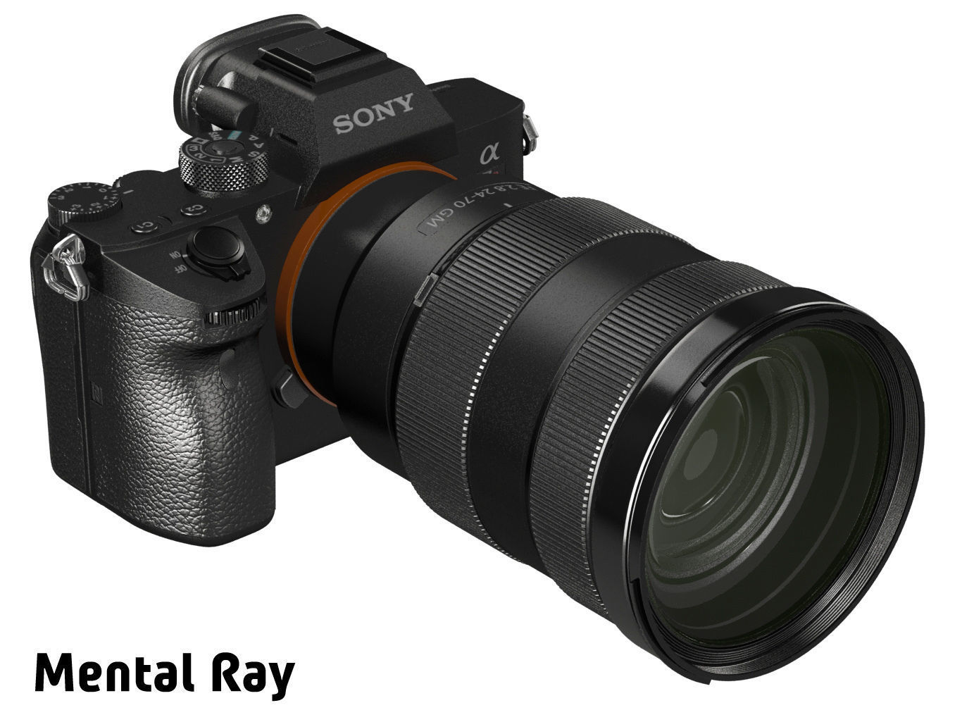 Sony Alpha 7R III with three lenses 3D model_18