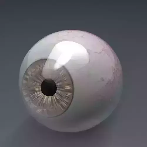 Human eye