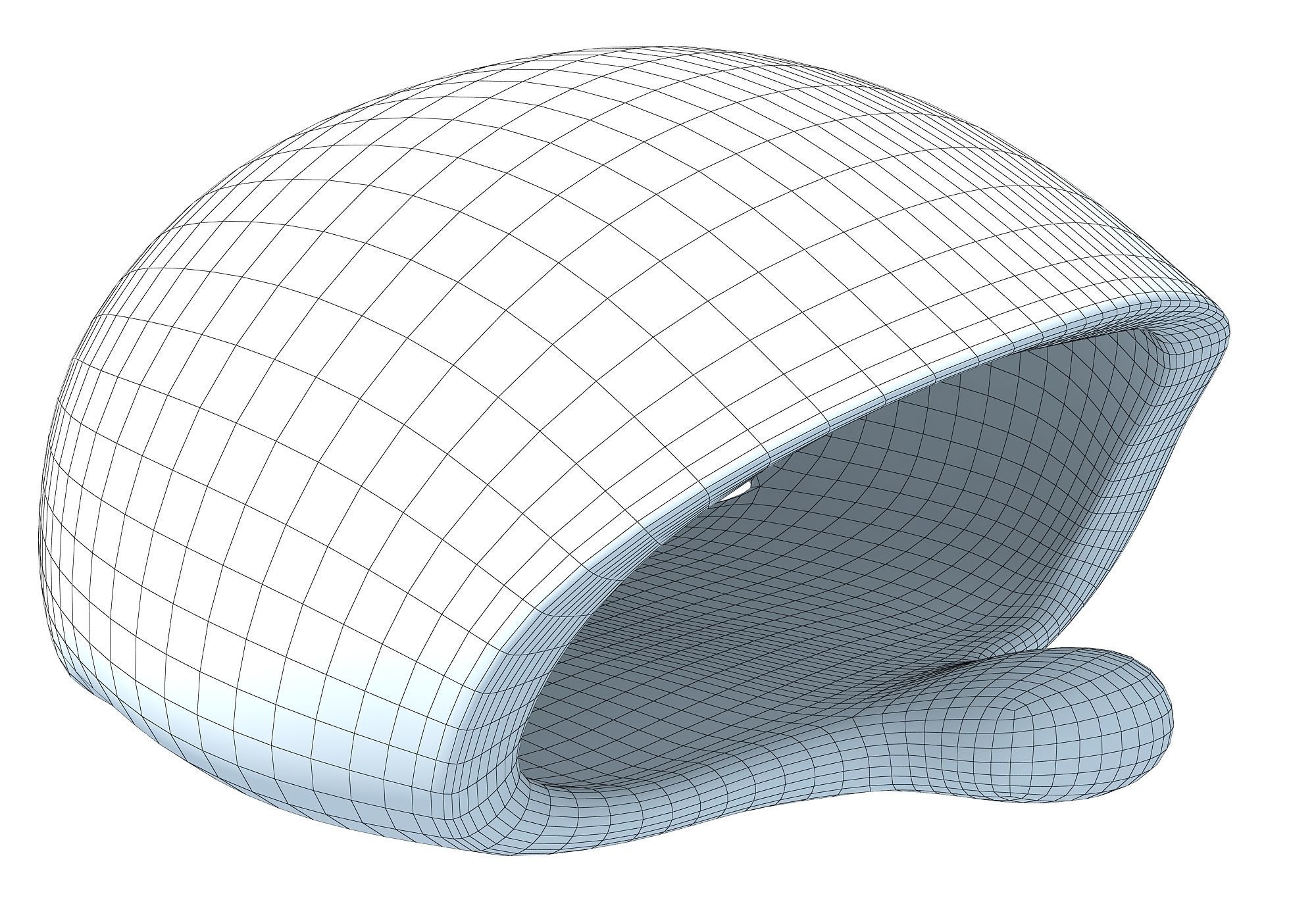 Tortoise Shell Skeleton Low-poly 3D model_12