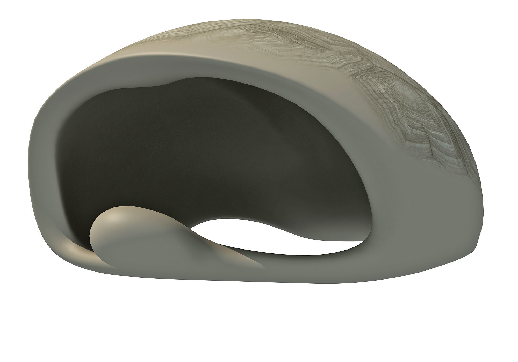 Tortoise Shell Skeleton Low-poly 3D model_9